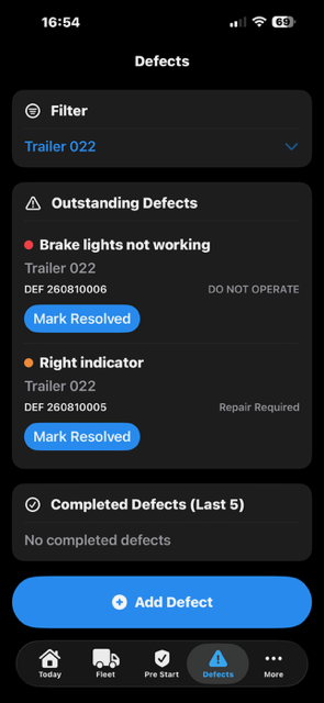 BigRig Ledger defects